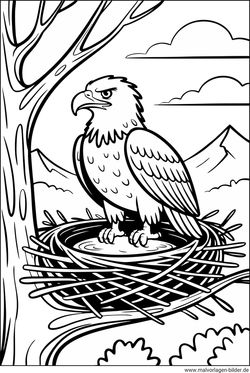 Ausmalbild Adler Nest