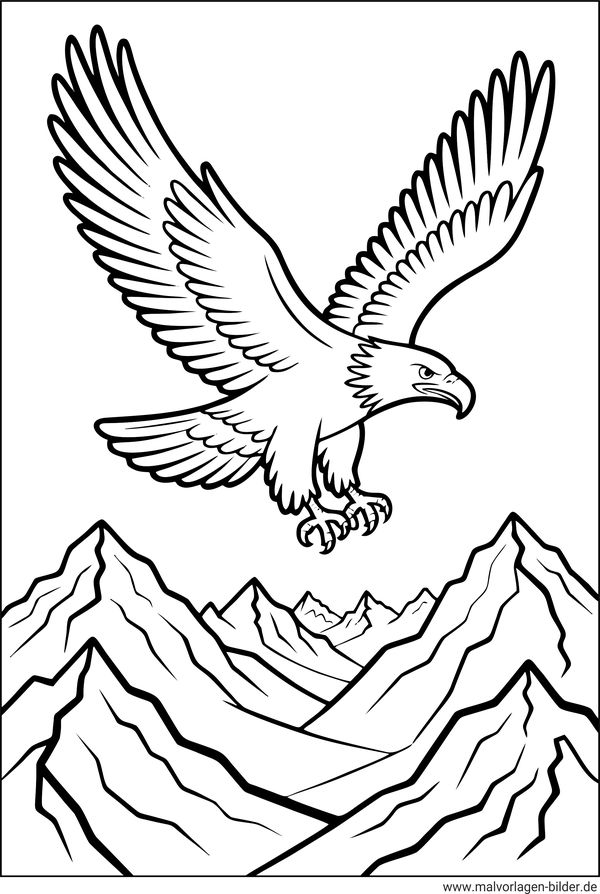 Ausmalbild Greifvogel