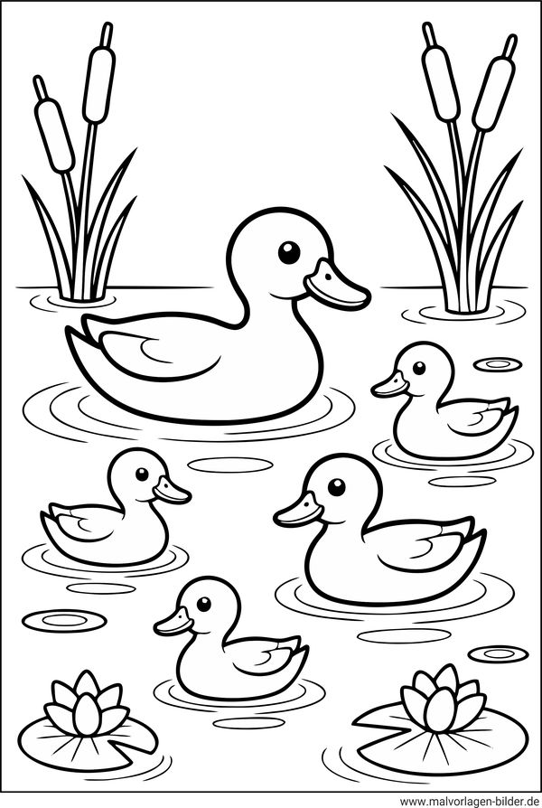 Enten im Wasser Ausmalbild