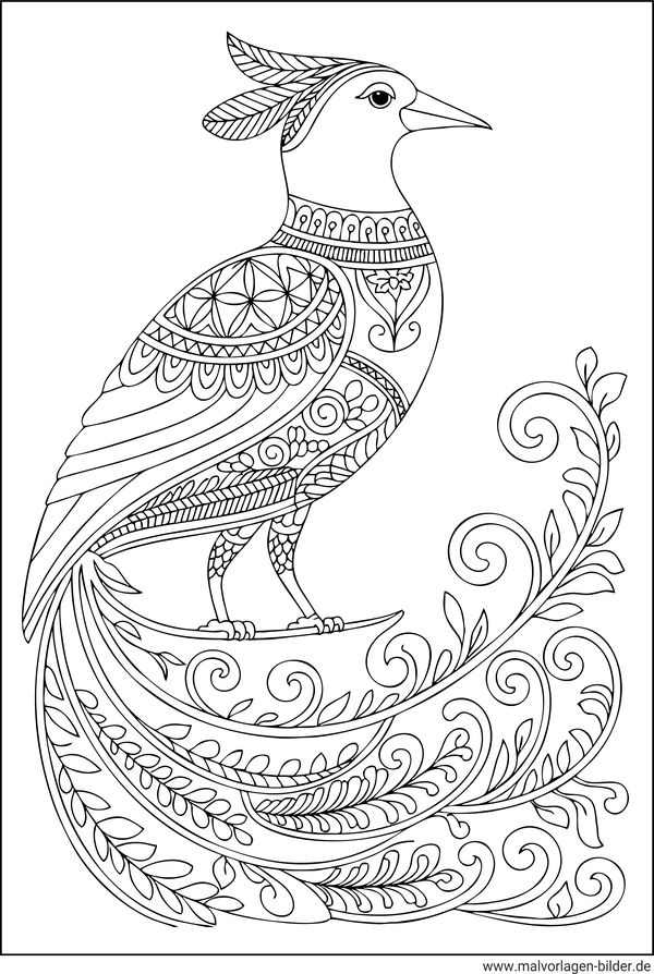 Fantasie Vogel Ausmalbild