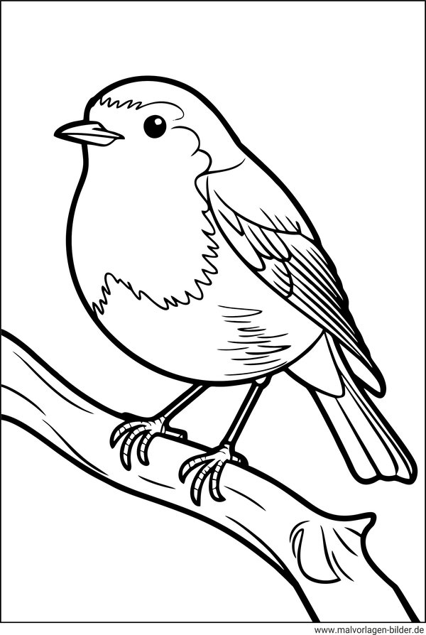 Rotkehlchen Ausmalbild Vogel