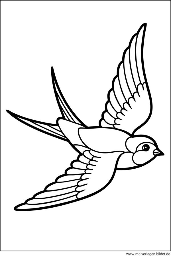 Schwalbe Vogel Ausmalbild