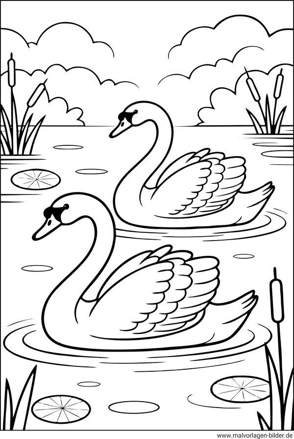 Schwan Ausmalbild ausdrucken