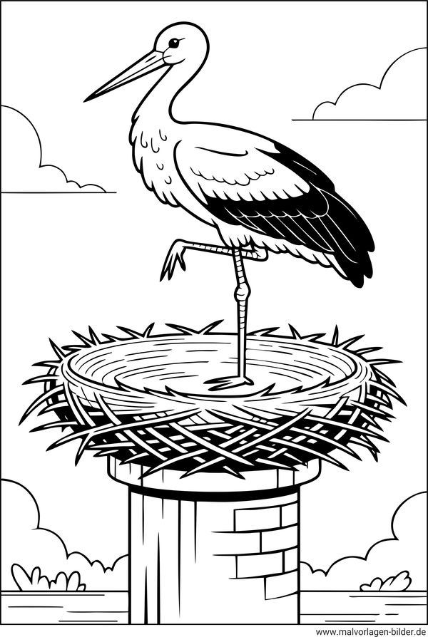 Storch im Nest Ausmalbild