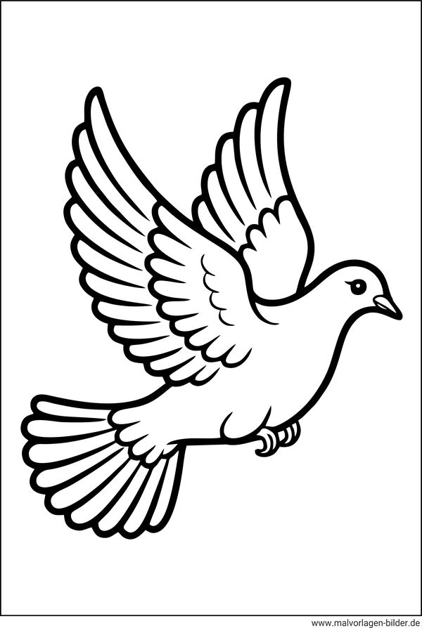 Taube die fliegt Ausmalbild ausdrucken