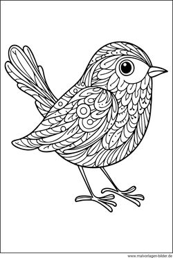 Vogel mit Muster Ausmalbild Erwaschene als PDF download