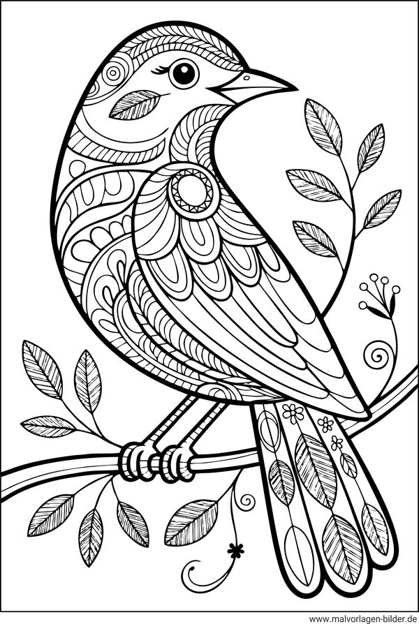 Vogel mit Muster Ausmalbild für Erwachsene