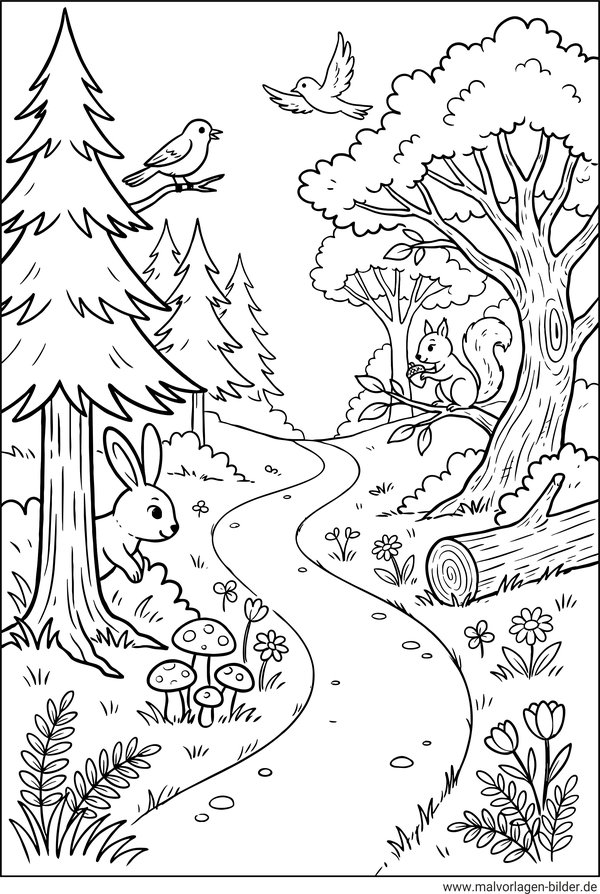 Ausmalbild Tiere im Wald