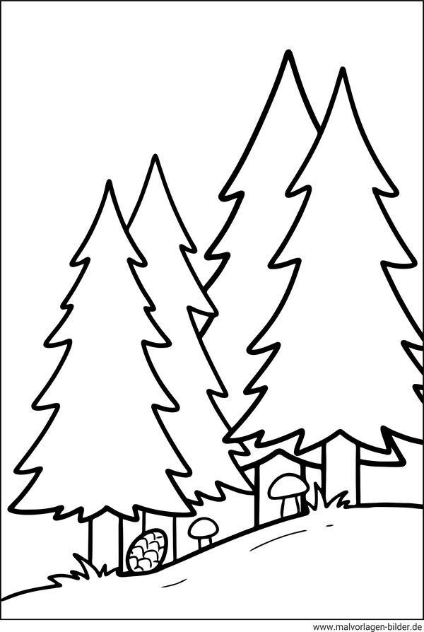 Nadelbäume im Wald Ausmalbild einfach