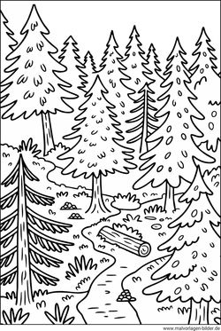 Wald Ausmalbild drucken