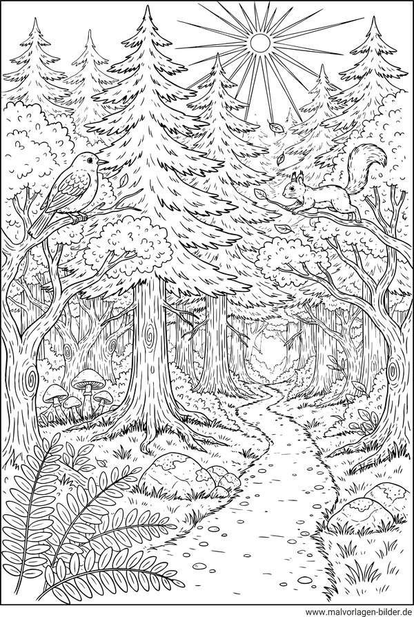 Wald Ausmalbild für Erwachsene