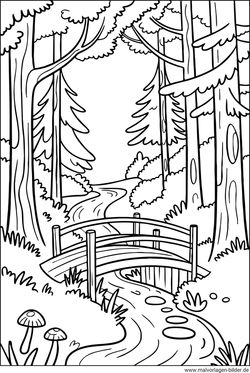 Wald Bach und eine Brücke Ausmalbild