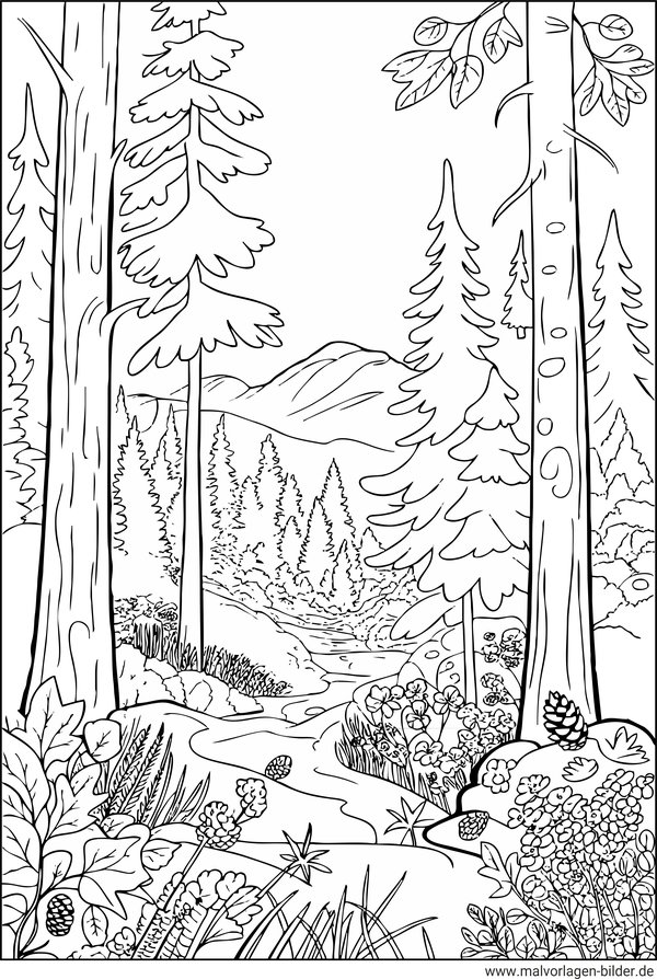 Wald Malvorlage für Erwachsene