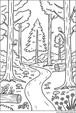 Wald Malvorlage zum Drucken und Malen