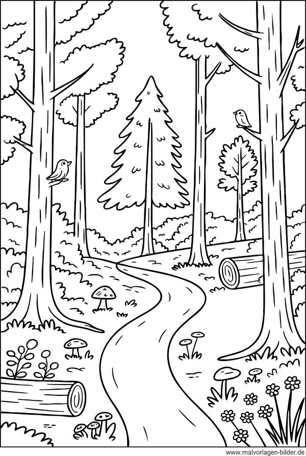 Waldbild zum Ausmalen
