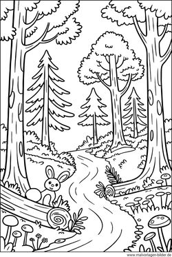 Waldweg Ausmalbild